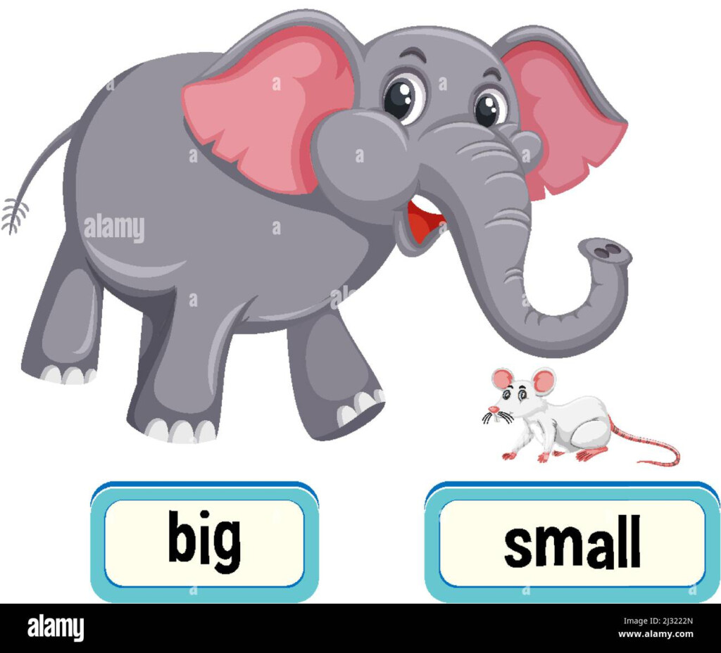 Big Schooling Stock Vector Images Alamy