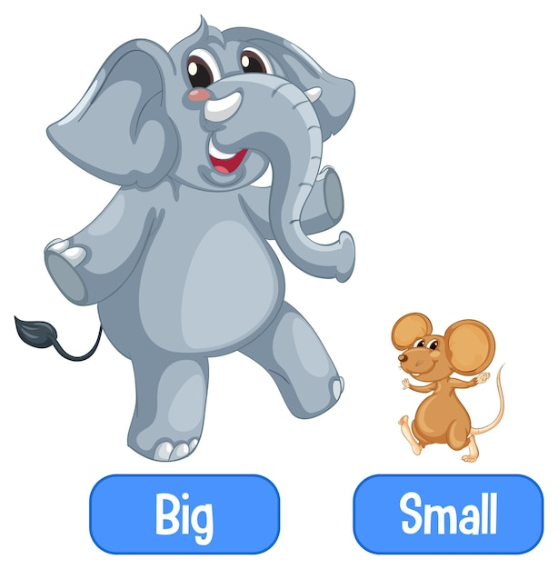 Big Small Images Free Download On Freepik