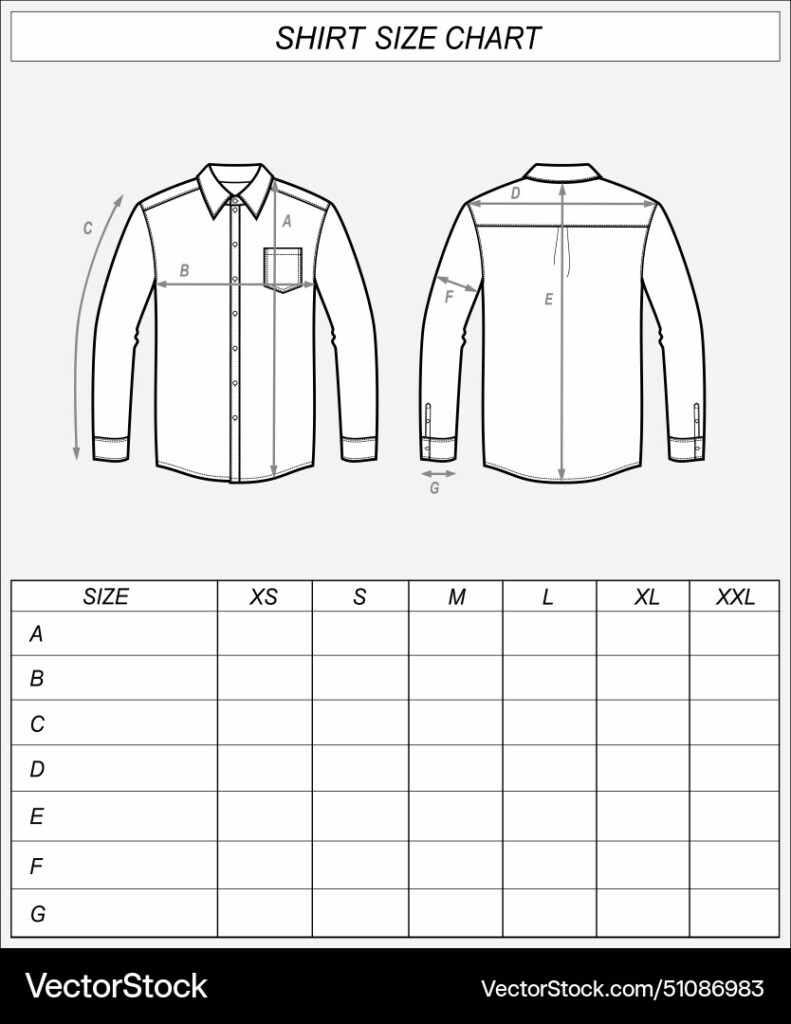 Business Shirt Size Chart Classic Wear Royalty Free Vector
