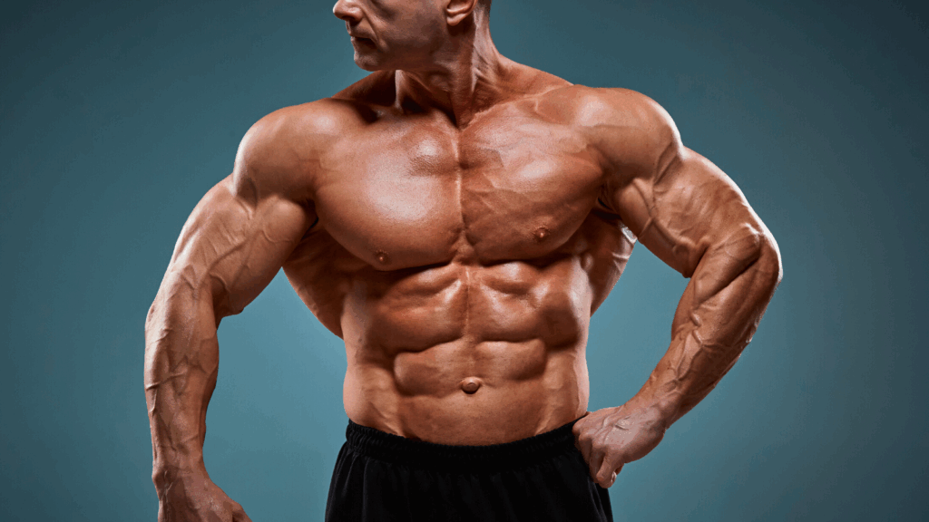 Chest Muscles Bodybuilding