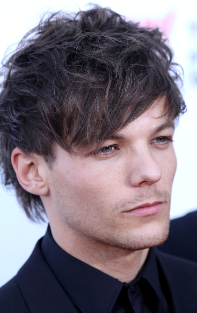 File Louis Tomlinson November 2014 jpg Wikimedia Commons