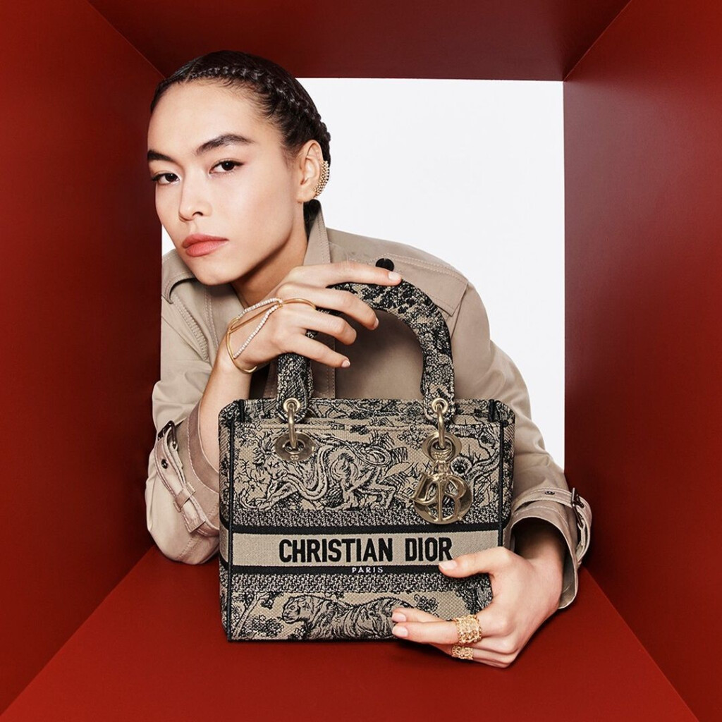Handbags Dior