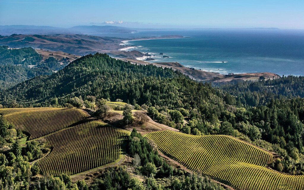 How To Have The Perfect Vacation In Sonoma
