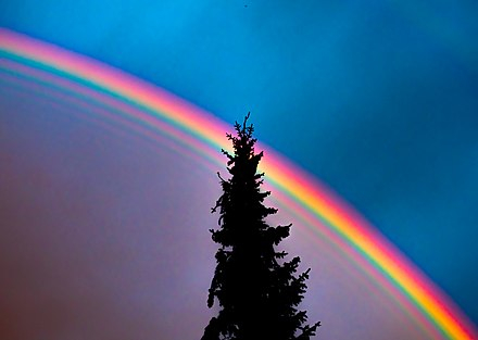 Rainbow Wikipedia