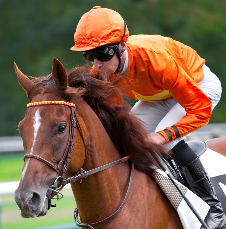 What Does A Horse Racing Jockey Do with Pictures 
