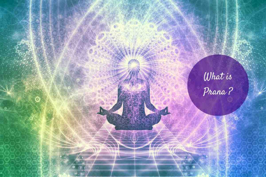What Is Prana Here s Everything You Need To Know 
