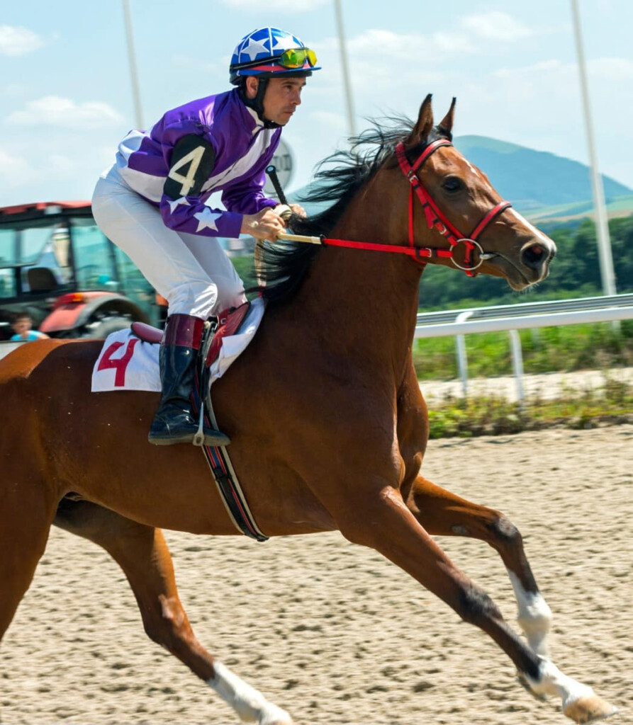 Why Jockeys Wear Silks A Deep Dive